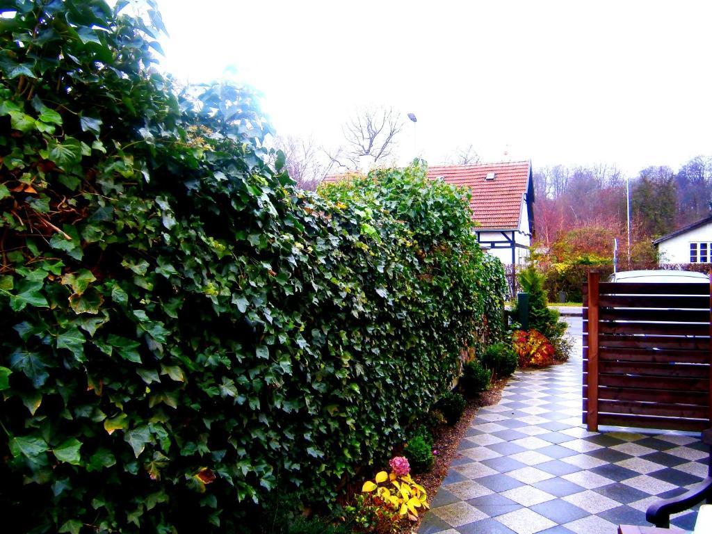 Helsingor Bed & Breakfast Extérieur photo